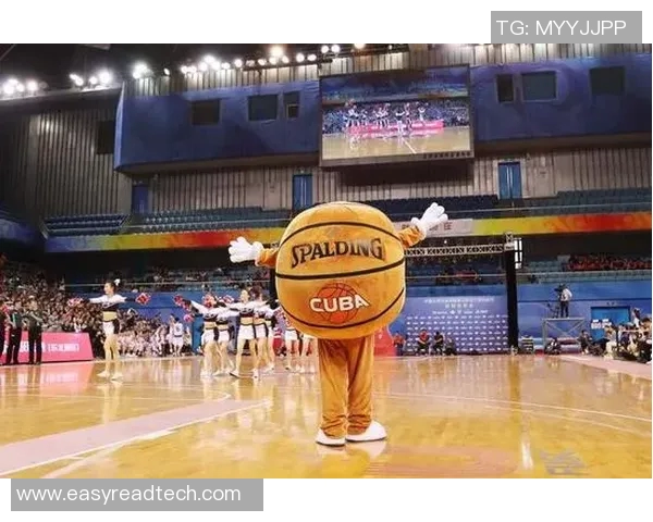 探索NBA篮球明星模型的构建与应用分析助力篮球运动的发展与推广